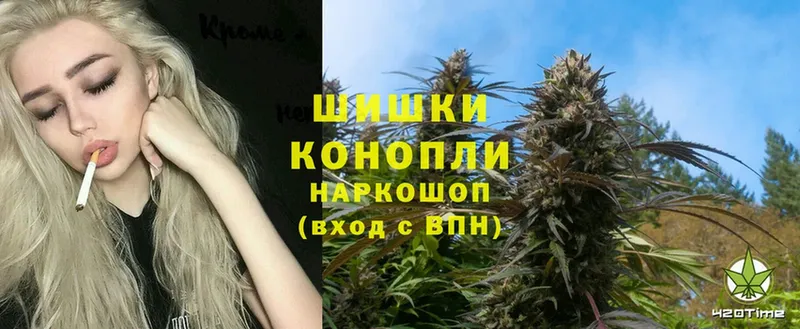 Бошки Шишки THC 21%  ссылка на мегу сайт  Костомукша  где купить наркотик 